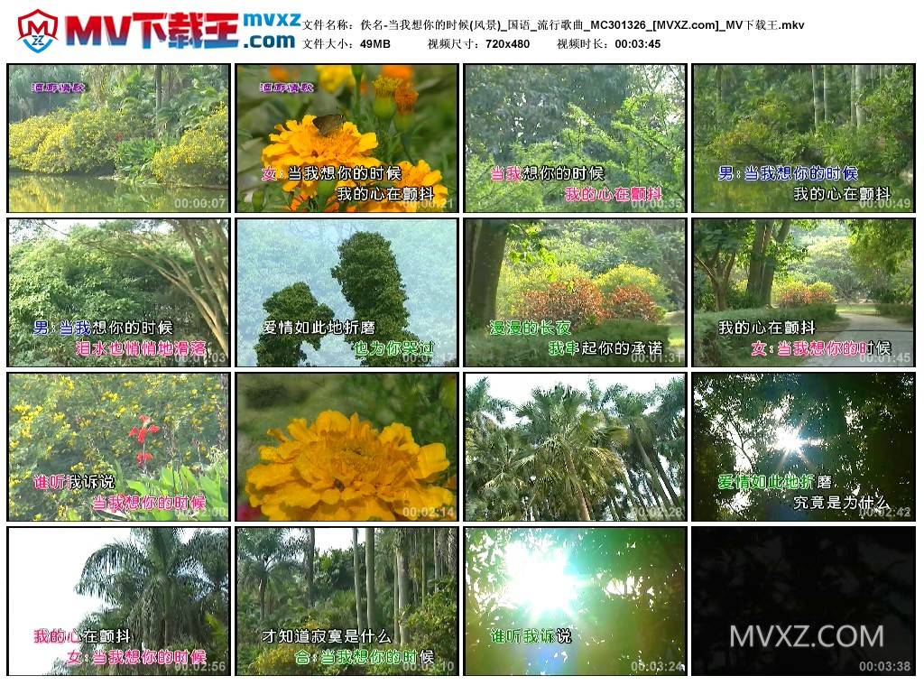 佚名-当我想你的时候(风景)_国语_流行歌曲_MC301326
